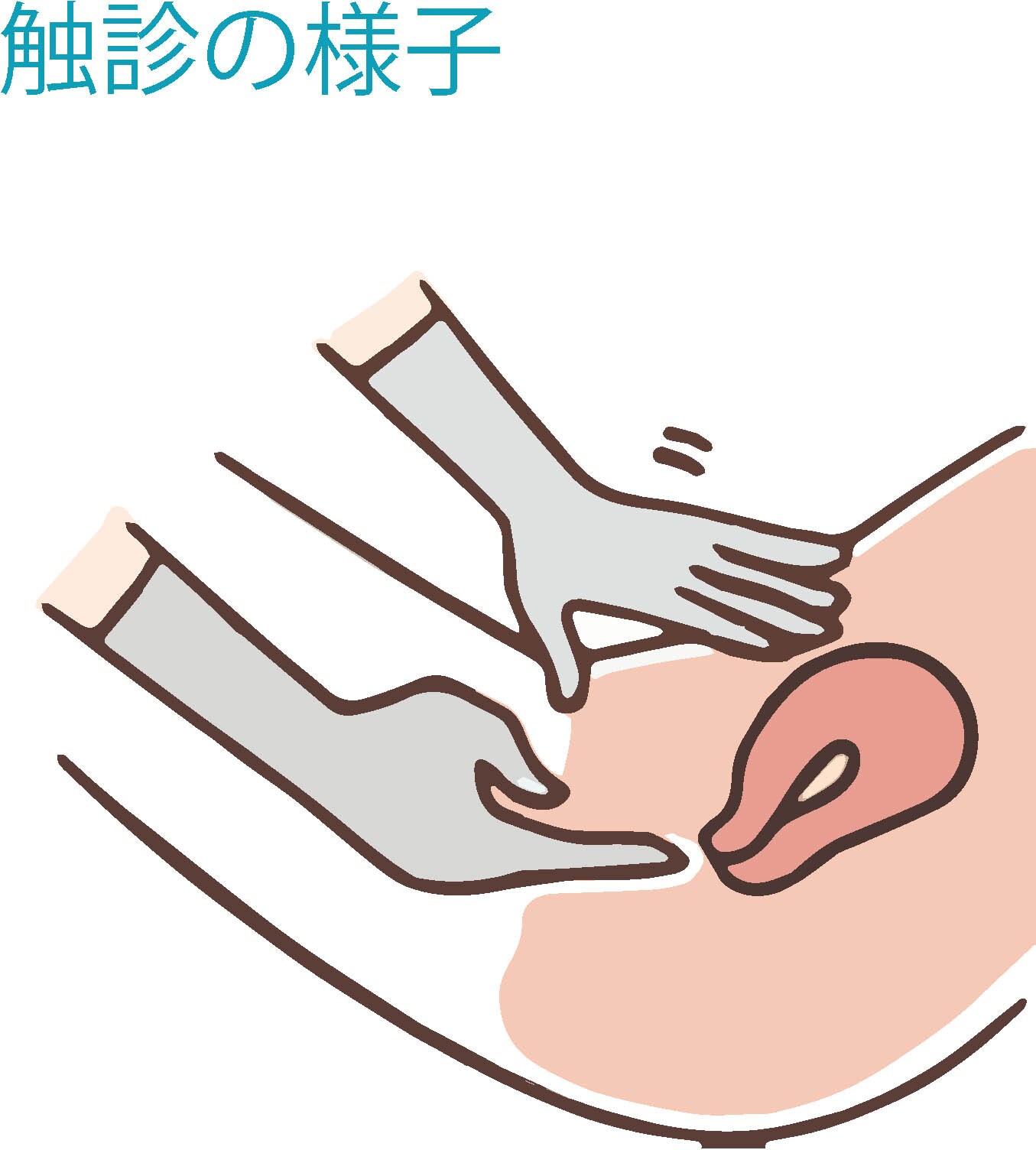 触診の様子