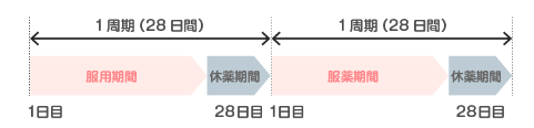 周期服用のLEP製剤