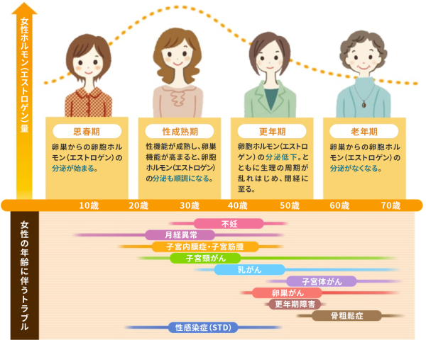 年齢とともに変化する女性ホルモン分泌量